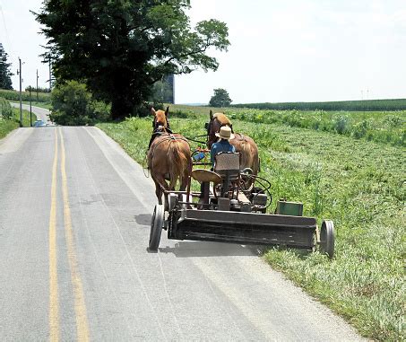 Amish Farm Equipment Stock Photo - Download Image Now - iStock