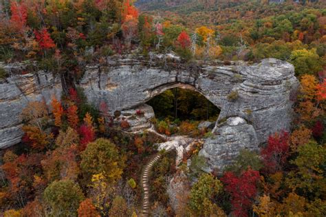 The Best Spots to Experience Kentucky Fall Foliage - Minneopa Orchards