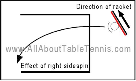 Table Tennis Techniques - Spin