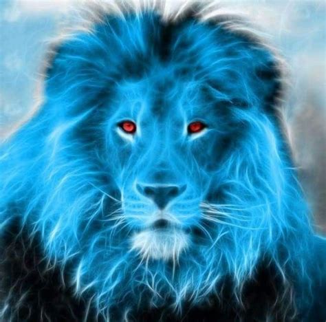 Pin by Antoine Carlier on animaux electrique | Lion images, Lion pictures, Big cats art