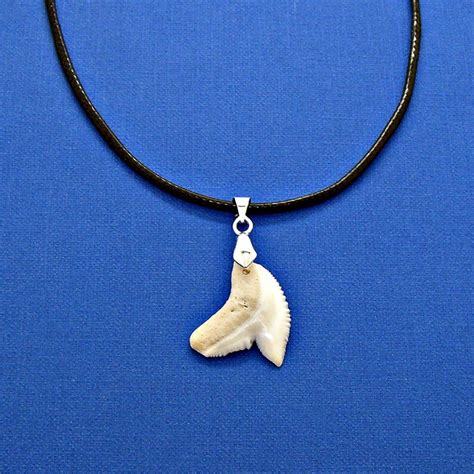 LARGE Tiger Shark Tooth Pendant Necklace Black Adjustable SUP | Etsy