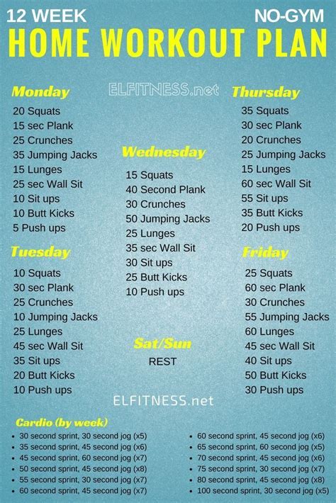 The Best Workout Plan To Lose Weight And Gain Muscle Reddit - Cardio ...