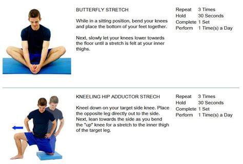 Hip Adductor Stretches - Active Chiropractic