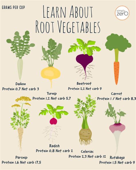 Top 8 Low-Carb Root Vegetables