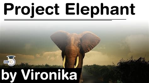 Project Elephant in India - Why elephants are endangered? What is MIKE ...