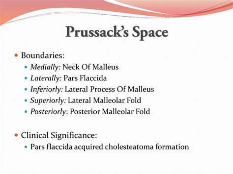 PPT - Anatomy Of Ear PowerPoint Presentation, free download - ID:12101312