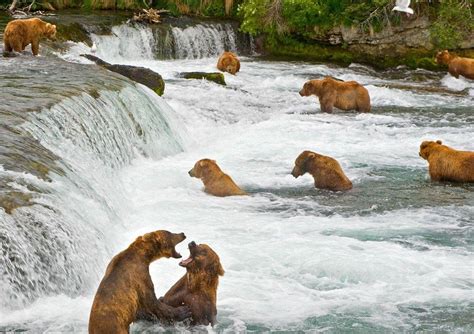 Katmai National Park And Preserve Wallpapers - Wallpaper Cave