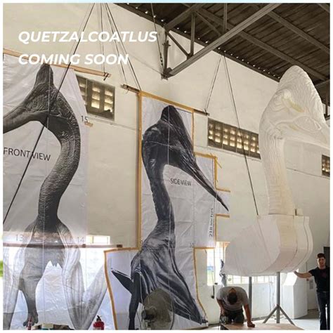 Quetzalcoatlus Flying Dinosaur 6m - Coming Soon Sculptures