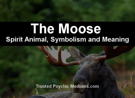 🌷 Moose symbolism. Moose: Symbolism, Meanings, and History. 2022-10-06