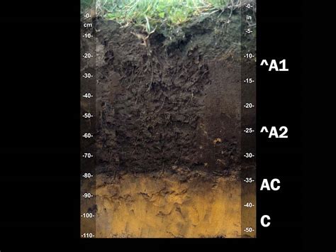 Inceptisols | Soil & Water Systems | University of Idaho