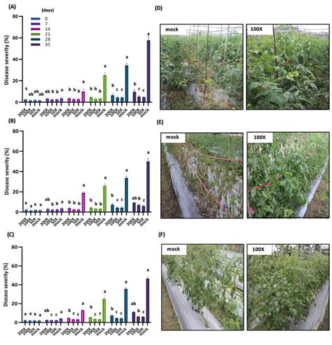 Field trials evidencing the Bacillus amyloliquefaciens PMB01 strain's ...