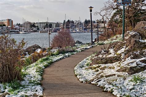 Victoria Daily Photo: Snow!