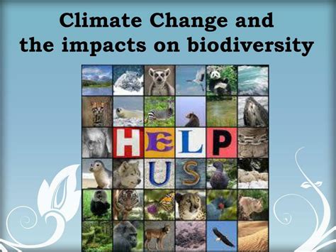 PPT - Climate Change and the impacts on biodiversity PowerPoint ...