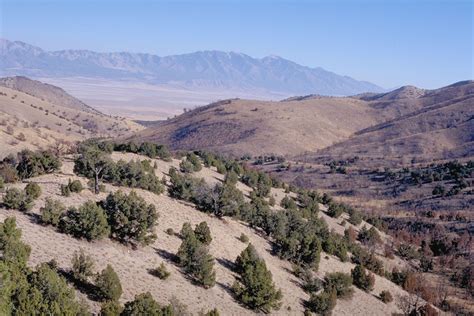 File:Cedar Mtn Wilderness.jpg - Wikimedia Commons