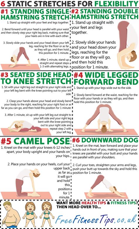 You’re 6 Stretches Away From Flexibility! - Infographic