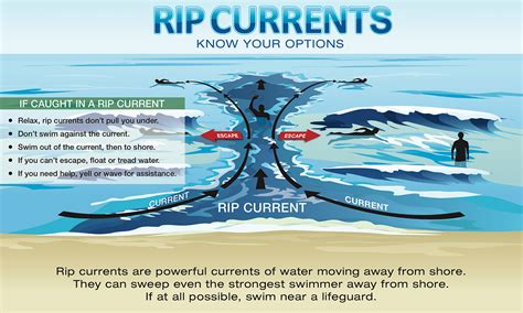 Florida rip currents leaves mark on shoreline | CW39 Houston