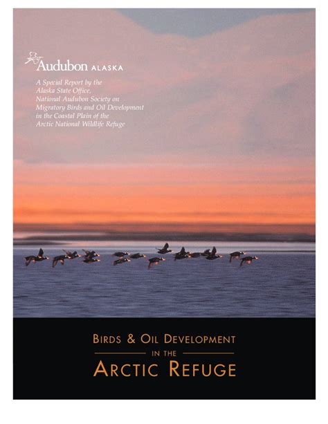 Defending the Arctic Refuge: Introducing a Public History Website – NiCHE