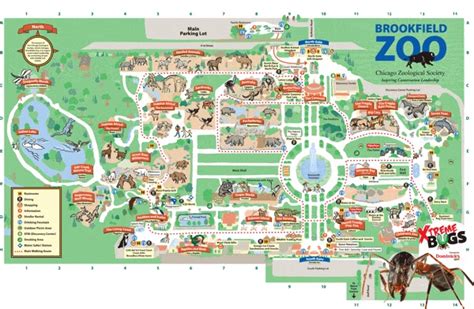 34 best images about BROOKFIELD ZOO on Pinterest | The indians ...