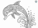 Dive Into Fun With A Coloring Page Of Dolphin sketch template