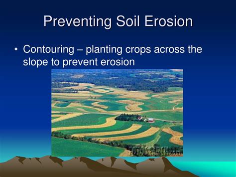 PPT - Preventing Soil Erosion PowerPoint Presentation, free download - ID:2269224