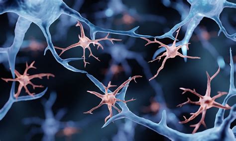 How neurons stimulate the brain’s microglia