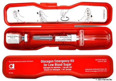 Glucagon Kits: What Are They?, 46% OFF | gbu-presnenskij.ru