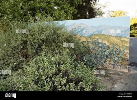 Landscape painting in bush Stock Photo - Alamy