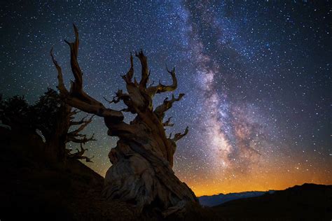 The Beginners Guide To Night Sky Photography