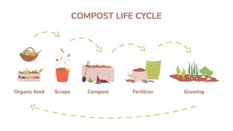 Premium Vector | Compost cycle Farm garden composting process biology recycle organic food in ...