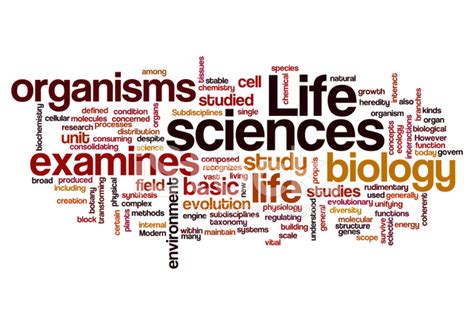 Life Sciences Biology Concept Background Stock Photo | Royalty-Free ...