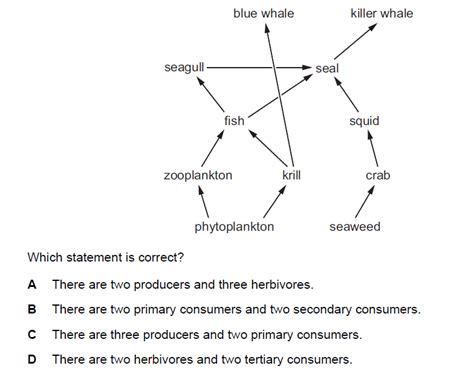 Biology Food Web Worksheet - Worksheets For Kindergarten