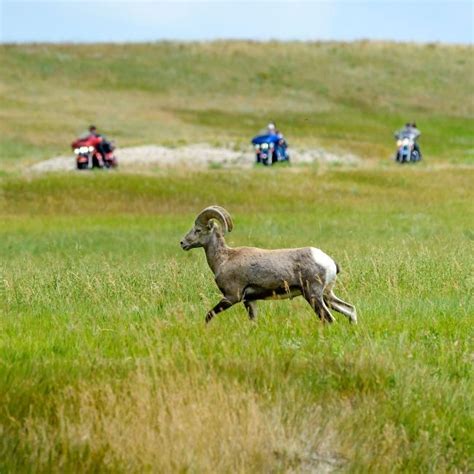 Badlands Loop State Scenic Byway | Travel South Dakota