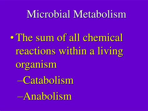 PPT - Microbial Metabolism PowerPoint Presentation, free download - ID ...