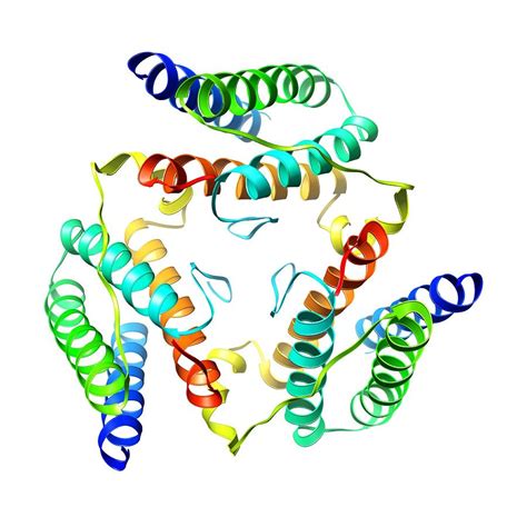 Leptin Hormone Molecule Photograph by Laguna Design