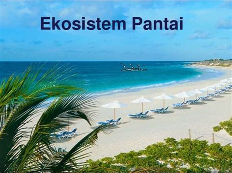 Ekosistem Pantai & Terumbu karang