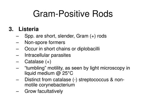 PPT - Chapter 10: Gram-Positive Rods PowerPoint Presentation, free download - ID:3857769