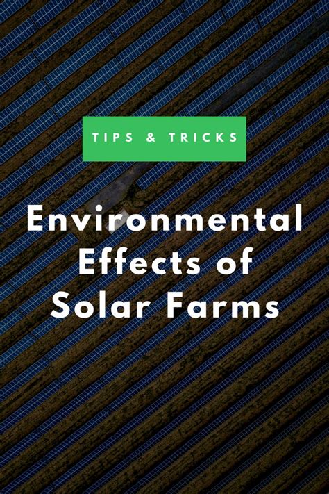 Environmental Effects of Solar Farms | Solar energy business, Solar ...