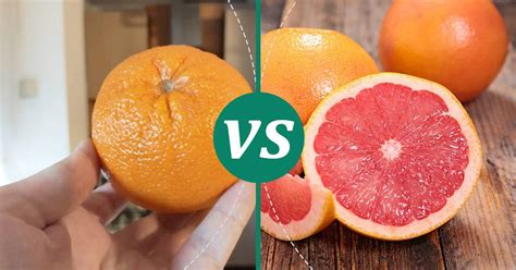 Grapefruit vs Orange: Health Insights