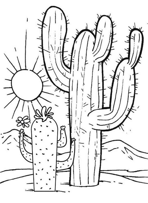 Great Cactus with sunset scenery Coloring Pages - Coloring Pages