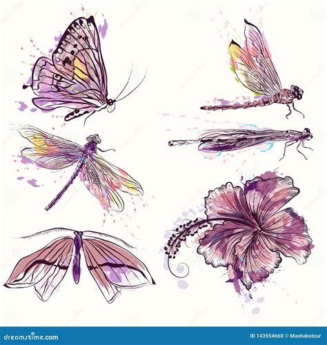 Collection of Vector Watercolor Spring Butterflies and Dragonflies Stock Vector - Illustration ...