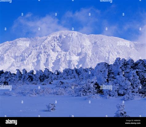 Jeju Island snow scene of Halla mountain winter Stock Photo - Alamy