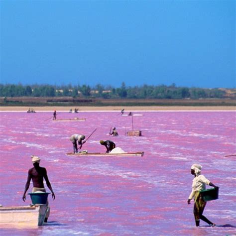 Excursion vers Île de Gorée et Lac Rose depuis Saly