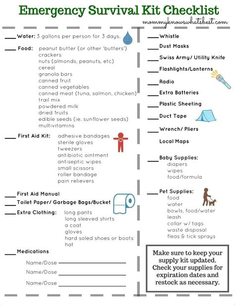 Emergency Survival Kit Checklist Printable | Emergency survival kit, Emergency preparedness kit ...