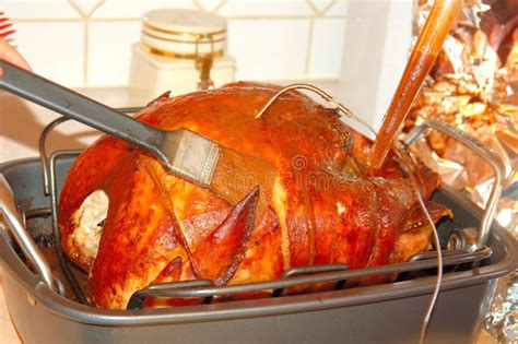 Basting Turkey stock photo. Image of bird, avian, preparation - 7566834