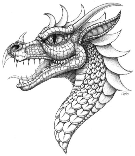 Pin by Robertusmika on Draak tekening | Dragon coloring page, Dragon drawing, Dragon sketch