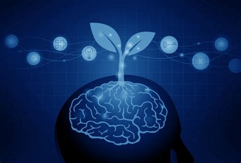 'Growth Mindset' Linked to Higher Test Scores, Student Well-Being in ...