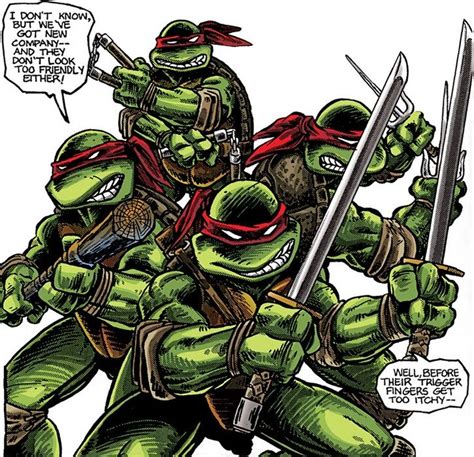 Teenage Mutant Ninja Turtles - Mirage Comics classic profile | Ninja turtles, Tmnt, Teenage ...