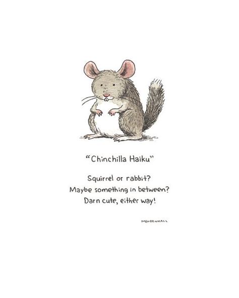 haiku poems for kids about animals - blackandwhiteinfantvans