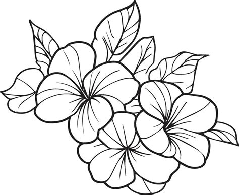 Cute flower coloring pages, primrose drawing, evening primrose wildflower drawings, Hand drawn ...