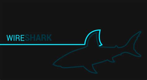 Well Known Network Protocol Analyzer: WireShark | CYBERPUNK